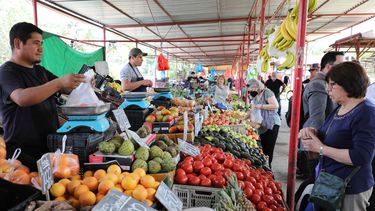 SNA y Movimiento Unitario Campesino descartan alzas de precios de alimentos tras sistema frontal