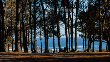 Parque Comunal El Canelo y El Canelillo en Algarrobo.