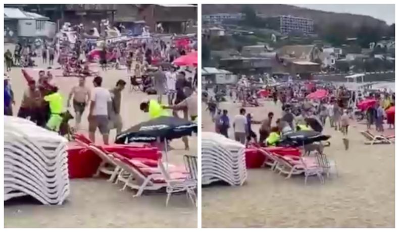 Pelea playa Papudo captura.jpg