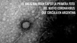 En Argentina captan la primera foto del coronavirus
