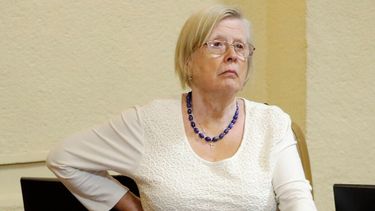 Diputada Bulnes busca crear registro nacional de prófugos por deudas de alimentos
