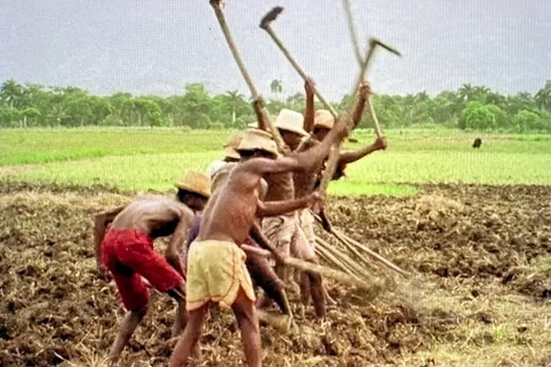 18473 diseno sin titulo 2025 07 02t142659.webp