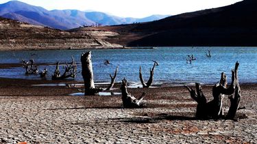 Lanzan observatorio que realizará seguimiento a la nueva Ley de Cambio Climático