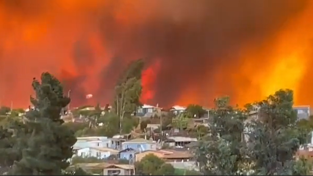 Cambio climático y modelo forestal vuelven al debate ante primera ola de calor en Chile