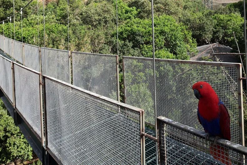 Javiera Rojas, encargada de Programas del Parque Tricao, detalla las prácticas de turismo sustentable, el trabajo de conservación de fauna y los logros del proyecto educativo Aula Tricao.