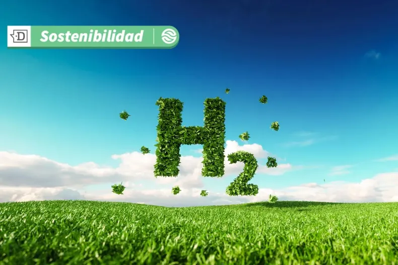 19224 diseno sin titulo 2025 07 15t164247.webp