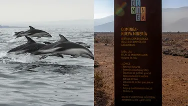 “Dominga no tiene permiso ambiental pero la empresa usa una estrategia comunicacional que trata de confundir”, explica abogada