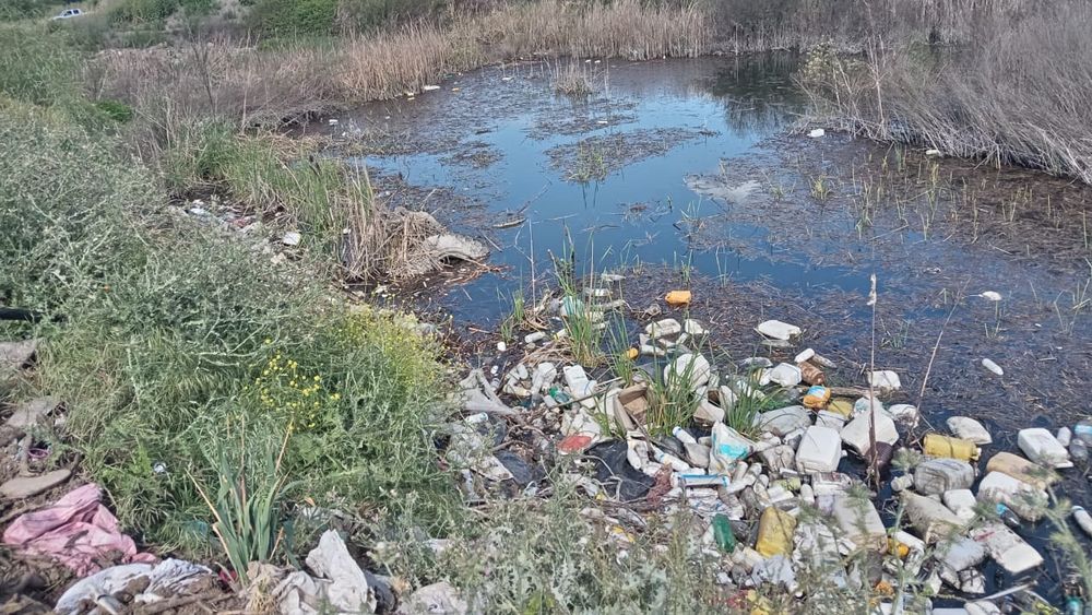 Denuncian contaminación con residuos peligrosos en humedal de San Vicente de Tagua Tagua