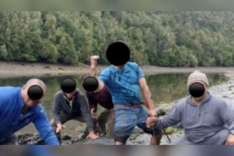 sernapesca ingresa denuncia a fiscalia por maltrato animal a tiburones en chiloe e1674134000933.jpeg