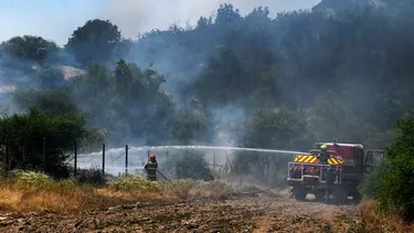 10 incendios forestales en la zona centro-sur arrasan con 2.000 hectáreas: superficie equivale a 2.800 canchas de fútbol