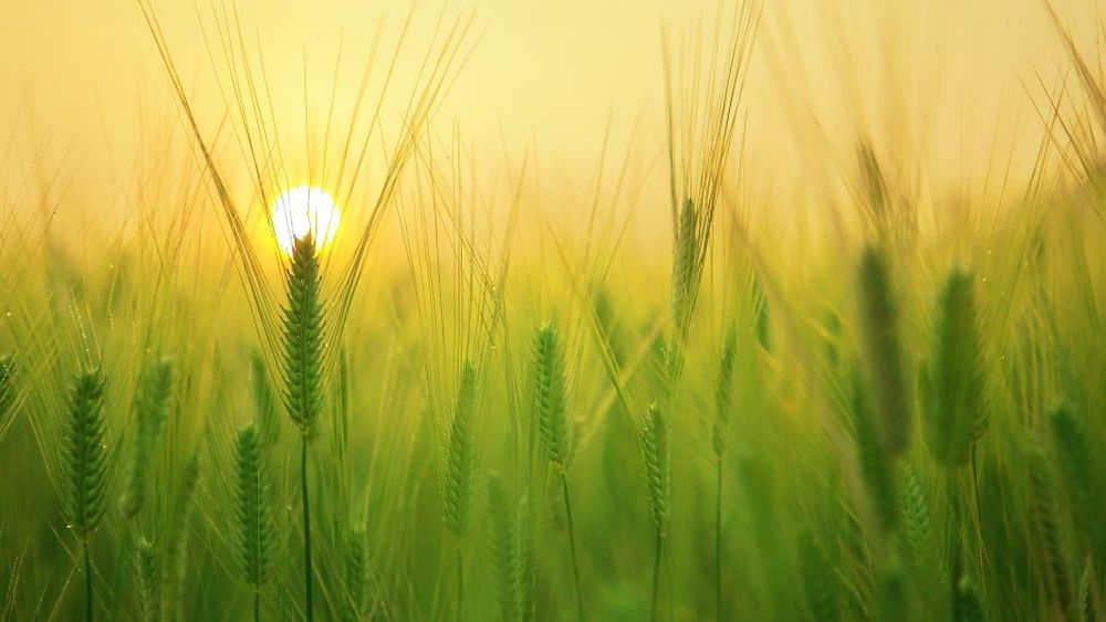 OPINIÓN | La única casa de todos y todas es la naturaleza