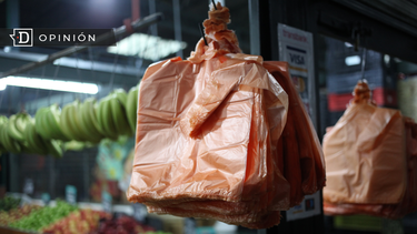 El Desconcierto | Bolsas plasticas.png