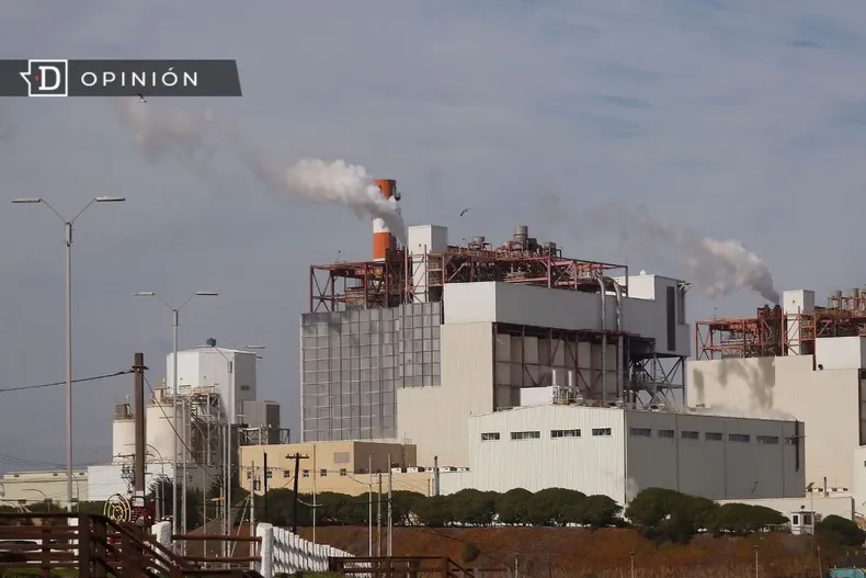 17646 industrias en puchuncavi.webp
