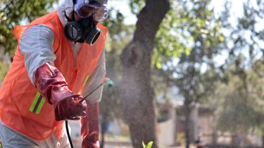 El Desconcierto | 2130 pesticidas.jpg