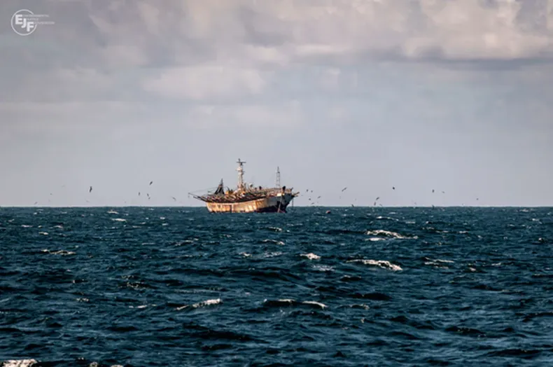 22895 imagen pesca cedida.webp