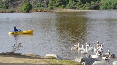 Advierten que megafiesta causará daños al ecosistema y la biodiversidad del humedal La Laguna en Zapallar