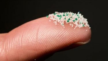 El Desconcierto | microplasticos 19201 696x391 1.jpg