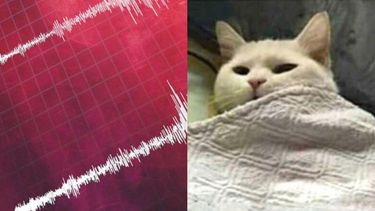 Chile país sísmico: Hilarantes reacciones twitteras por nuevo temblor en la zona central