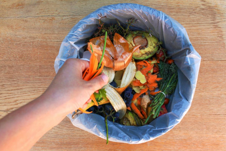 por sacar comida de un basurero condenan a prision en austria a un activista ambiental cesante.png