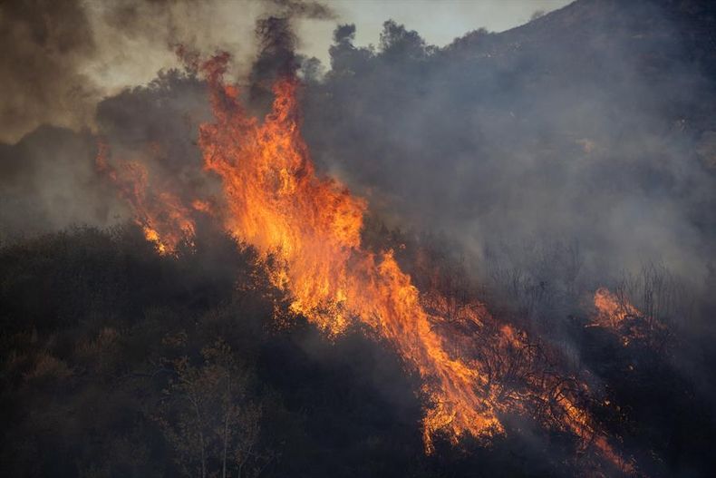 18339 eeuuincendios.jpg