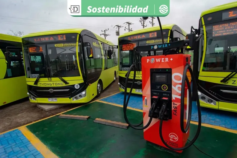 22336 diseno sin titulo 2025 09 10t105951.webp