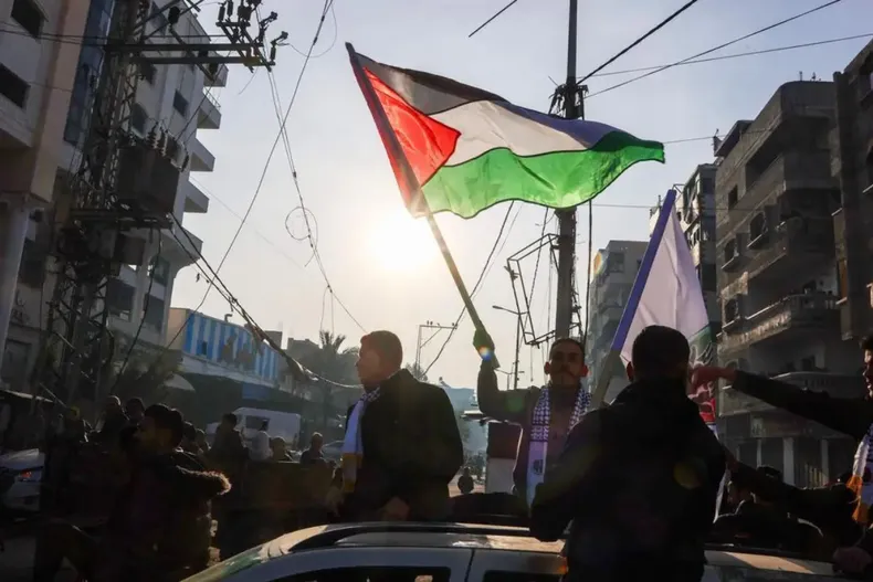 10633 diseno sin titulo 16.webp