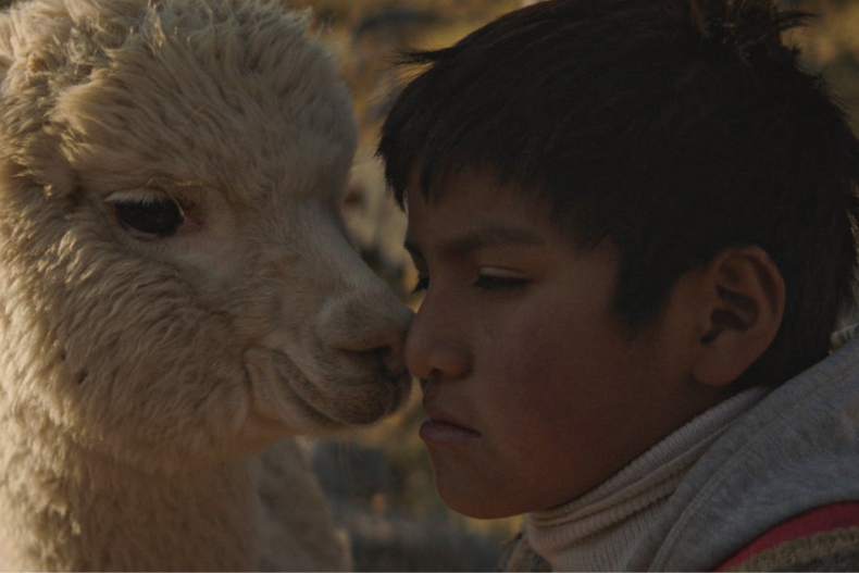 disfruta de 77 piezas audiovisuales gratuitas que abordan identidad y resistencia indigena.png
