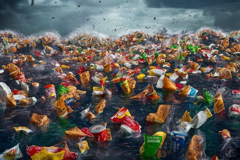 2814 envases desechables.jpg