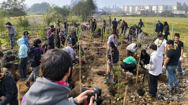 Con método Miyawaki voluntarios reforestarán Humedal Mapocho con 700 árboles