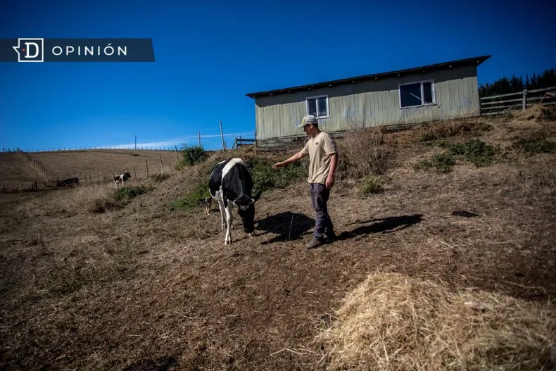 17105 imagen de un campesino junto a una vaca.webp