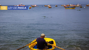 Pescadores artesanales se despliegan en Congreso: Ximena Rincón les prometió leer proyecto