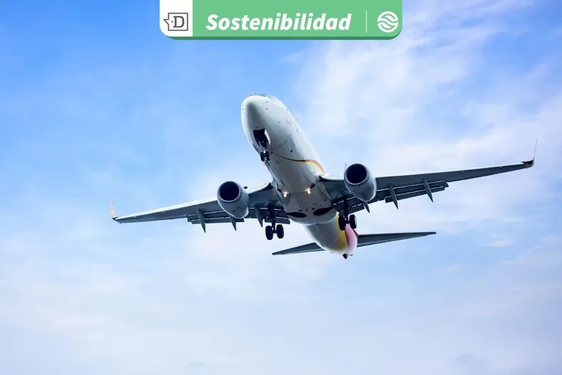 25232 diseno sin titulo 2025 11 04t124117.webp