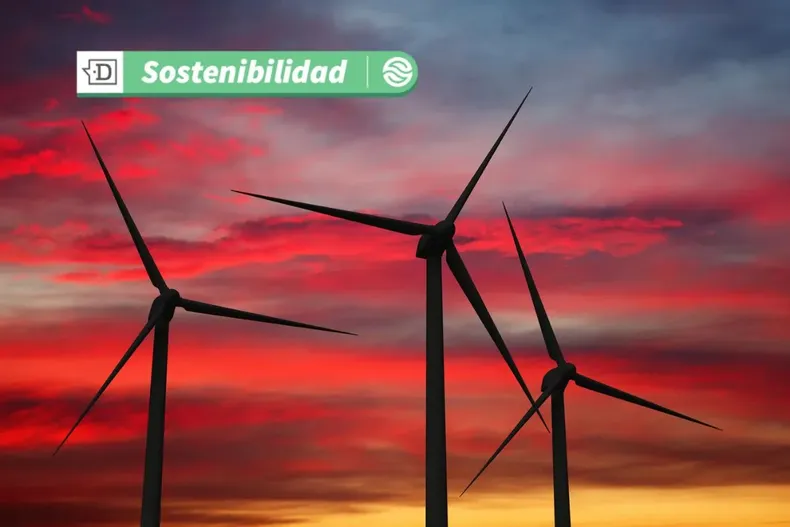 19705 diseno sin titulo 2025 07 25t144854.webp