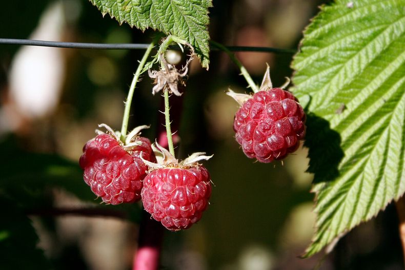 A_UNO_015157.jpg