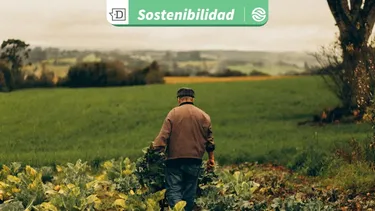 Programa de Corfo Metropolitano fortalecerá producción hortícola regional ante consecuencias del cambio climático