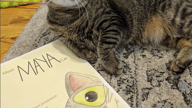 Tierno libro sobre gatita con Síndrome de Down enseña a niños a aceptar y querer a quienes son diferentes