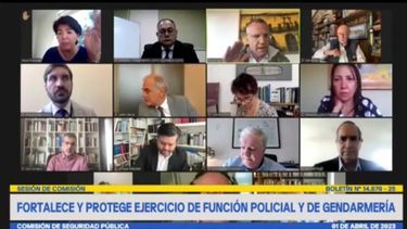 VIDEO| El tenso momento entre Yasna Provoste y Felipe Kast en Comisión de Seguridad