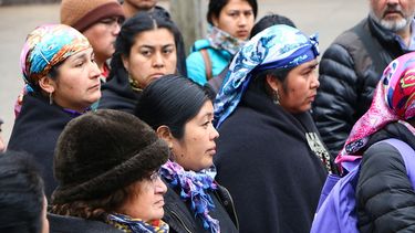 El Desconcierto | mapuche.jpg
