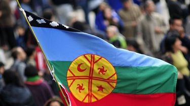 El Desconcierto | mapuche flag.jpg