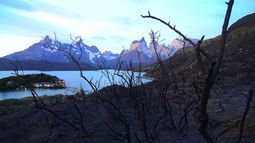 Parques de la Patagonia se convertirán en áreas protegidas para conservar la biodiversidad de la zona