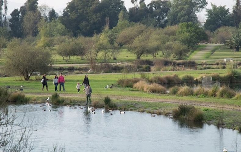 jardin botanico talca.jpg