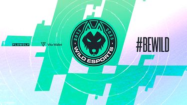 Wild y Obolobo se fusionan para formar un nuevo proyecto de esports