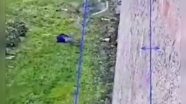 VIDEO | Mafioso italiano escapó de cárcel de alta seguridad usando cuerda de sábanas