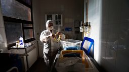 El coronavirus avanza en Europa e Italia supera las 600 muertes en un día