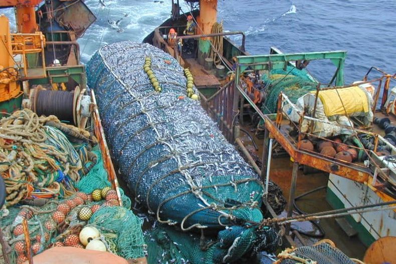 Pesca industrial de arrastre de merluza en Chile.&nbsp;