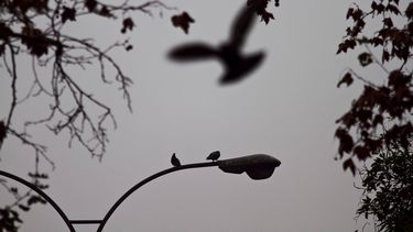 Cortes de luz en Santiago de hoy domingo 26 de abril - Agencia Uno