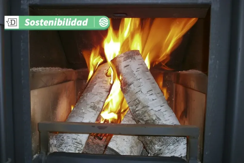 17521 diseno sin titulo 2025 06 16t122938.webp