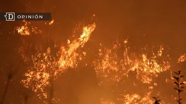 El Desconcierto | 26571 incendio forestal en hualqui.webp