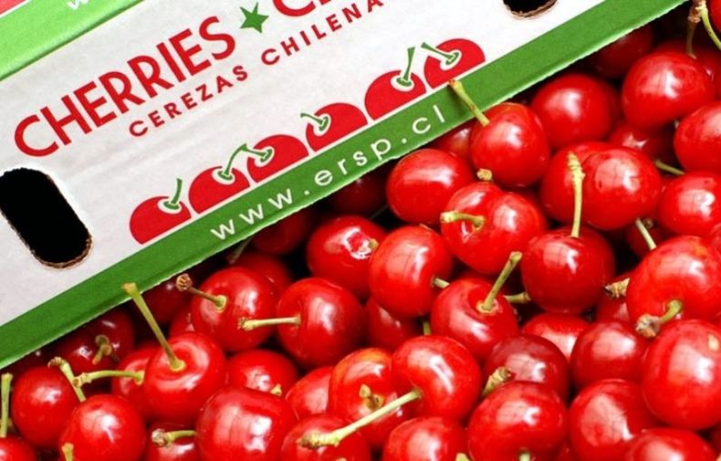 cerezas mundomaritimo 2018 e1549385732255.jpg