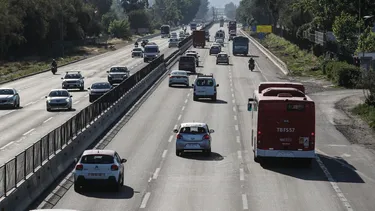 El Desconcierto | autopistas en jaque por accidentes  troncos y animales en la via desencadenan millonarias indemnizaciones a conductores.webp